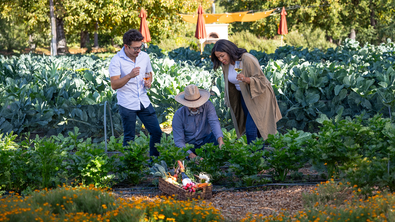 Kendall-Jackson Guided Culinary Garden Tour + Tasting
