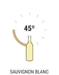 Sauvignon Blanc