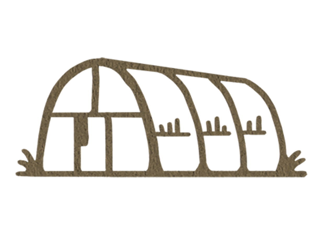Drawing of a greenhouse