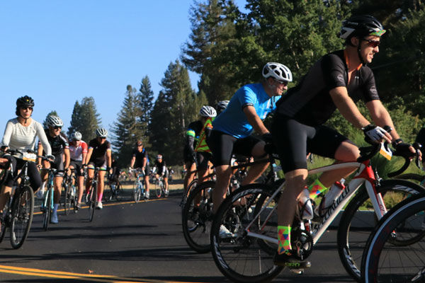 Tour De Fox Tour De Fox