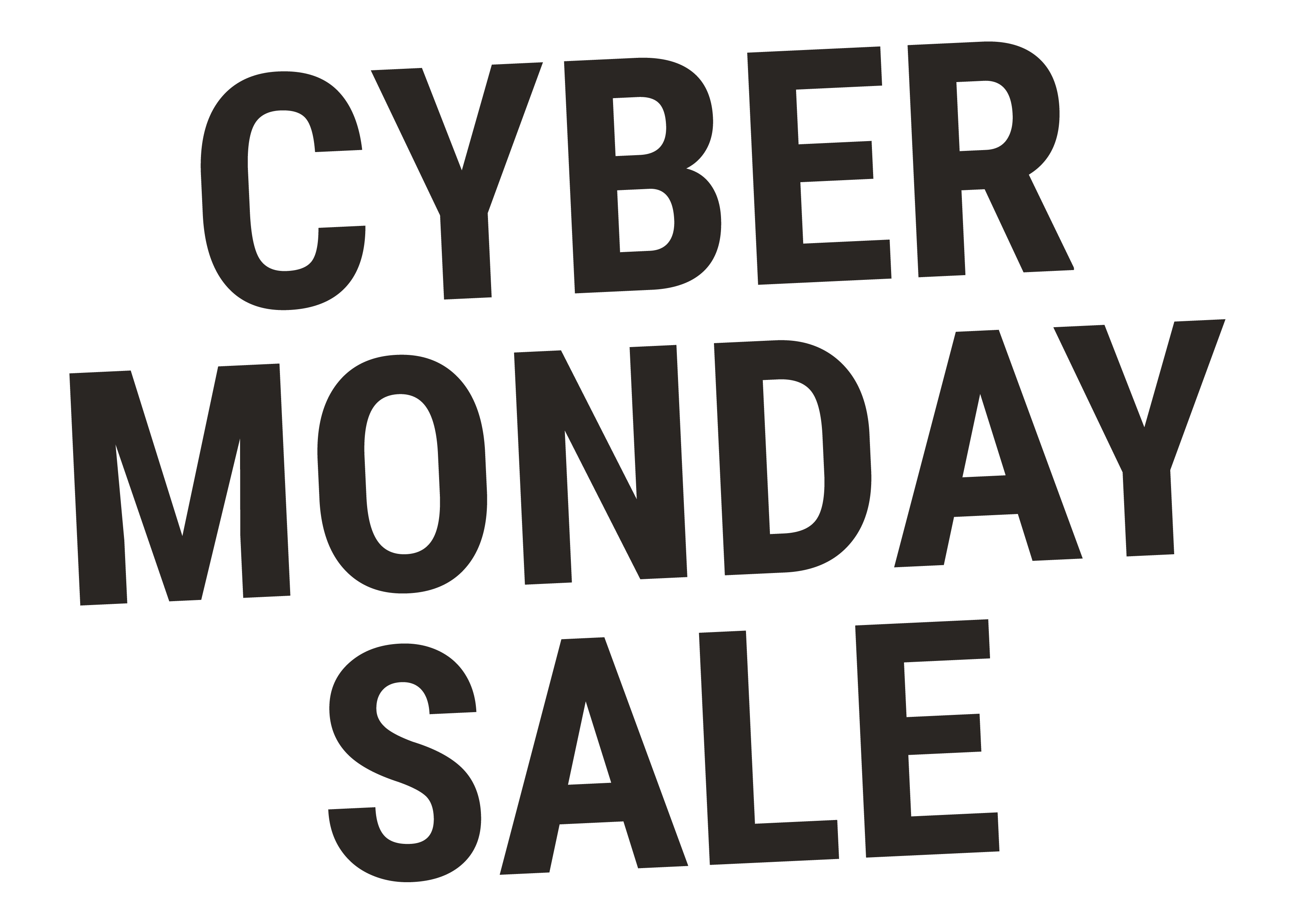 Cyber Monday Sale