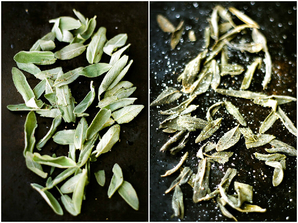 Sage Leaves