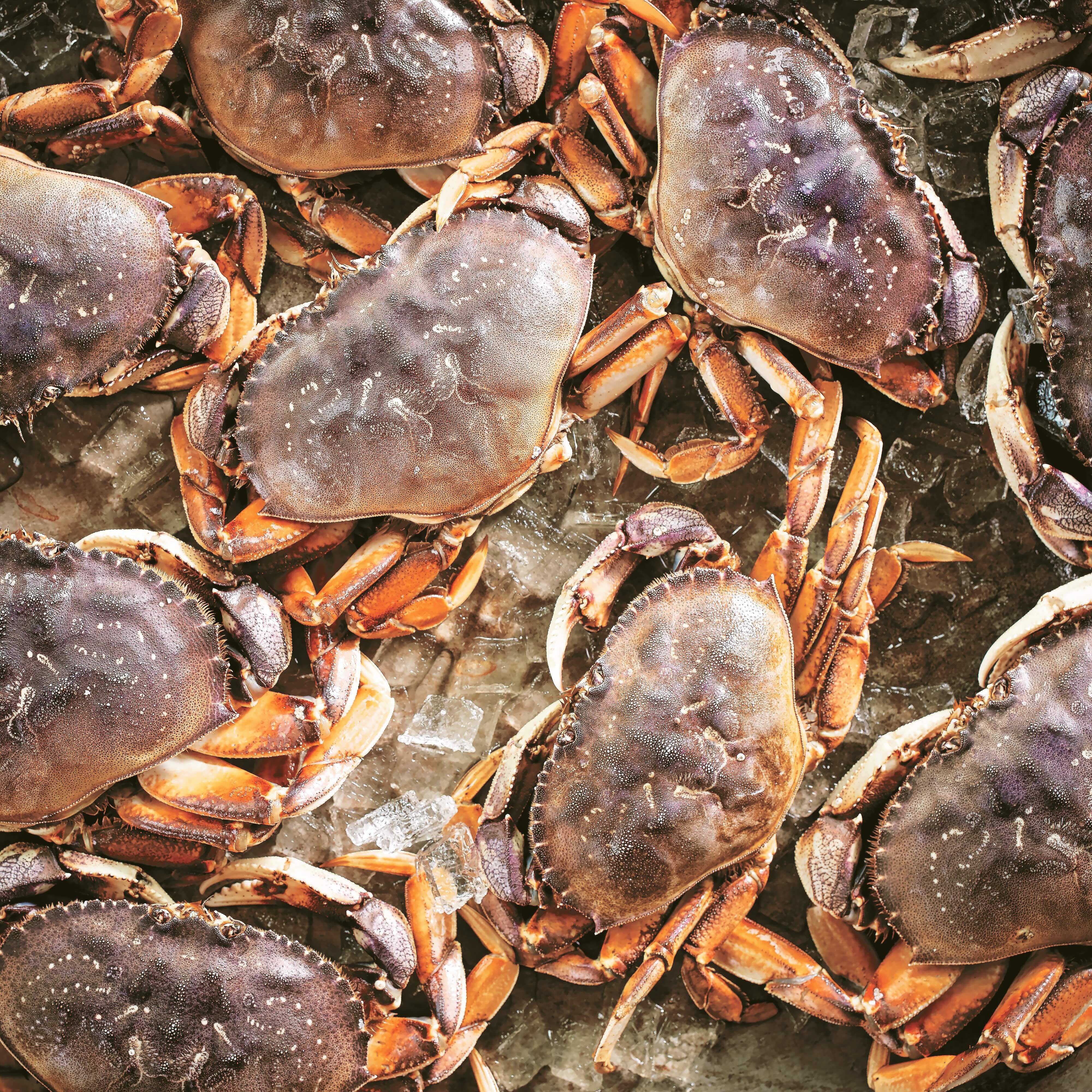 Chardonnay & Crab Feast at Kendall-Jackson Wine Estate & Gardens