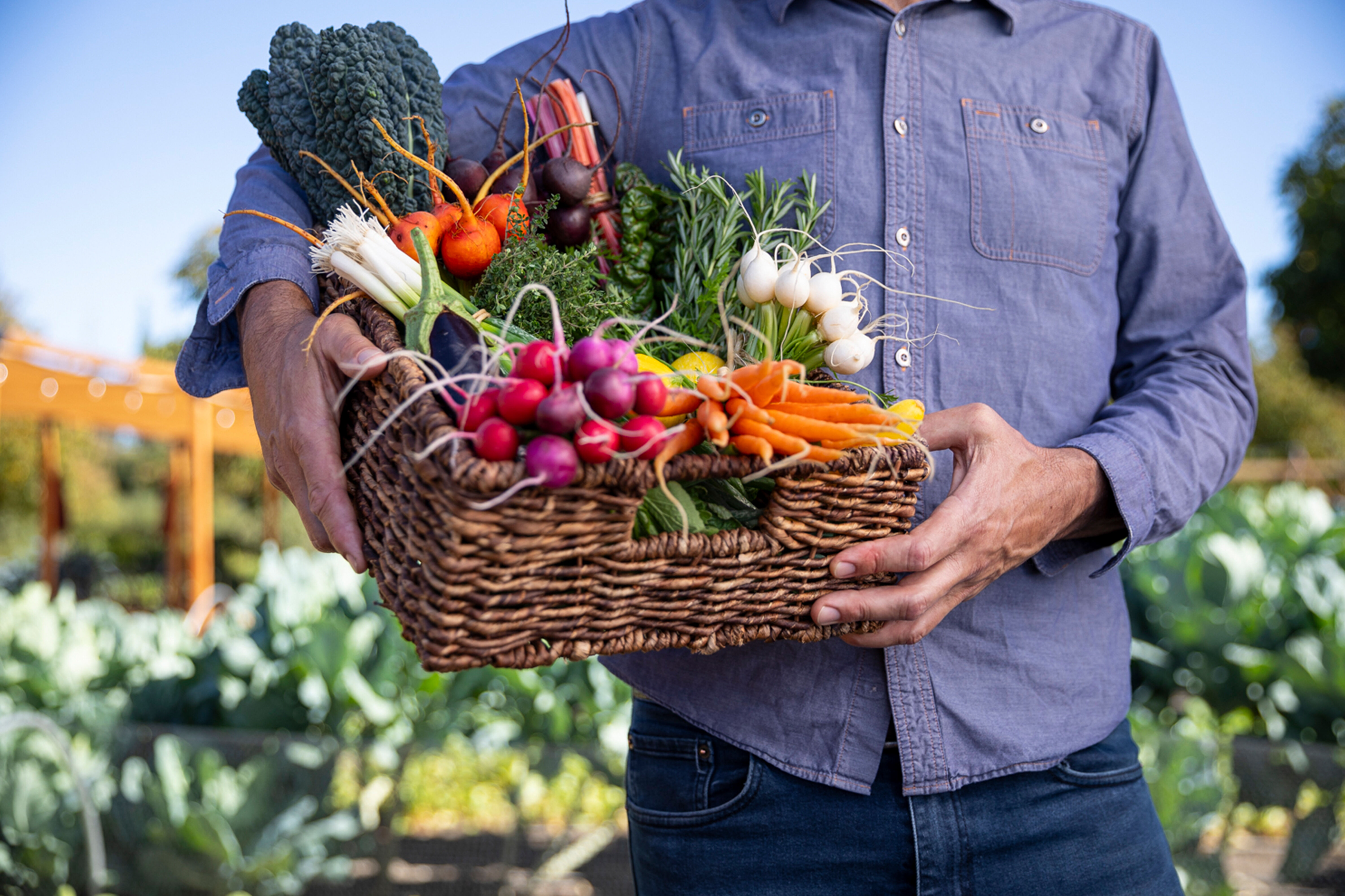 Tucker 'Farmer T' Taylor holding fresh produce from the Kendall-Jackson Culinary Garden in Sonoma County