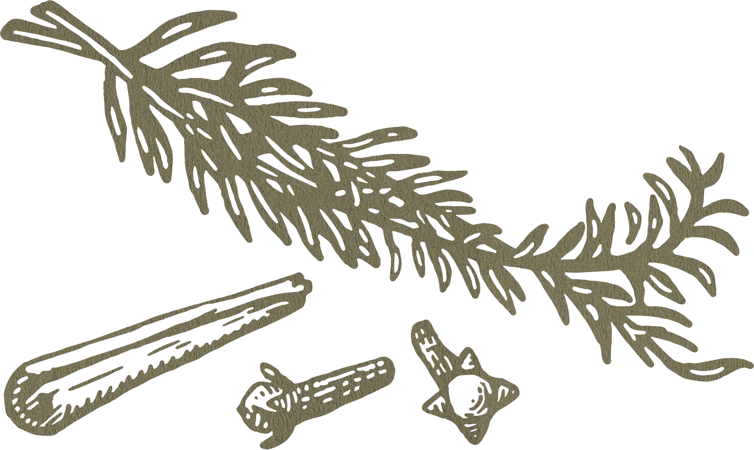 Drawing of Herbs & Spices