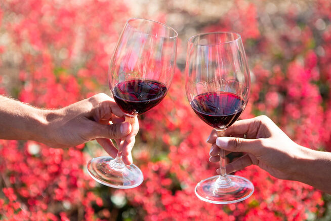 Estates Collection Anderson Valley Pinot Noir