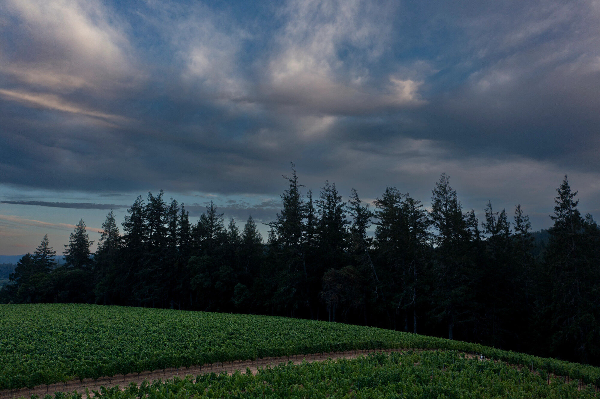 Jackson Estate Sable Mountain Vineyard Chardonnay