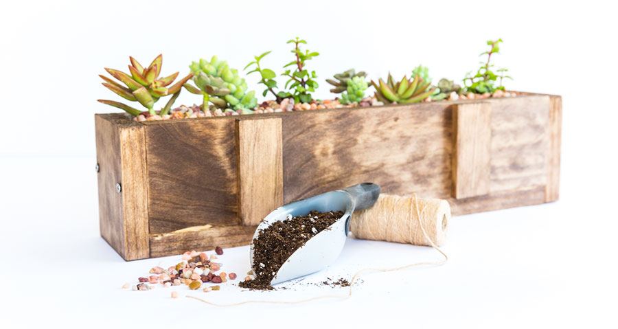 This easy-to-make DIY wood succulent planter is the perfect way to bring the outdoors in throughout these beautiful spring and summer months ahead.