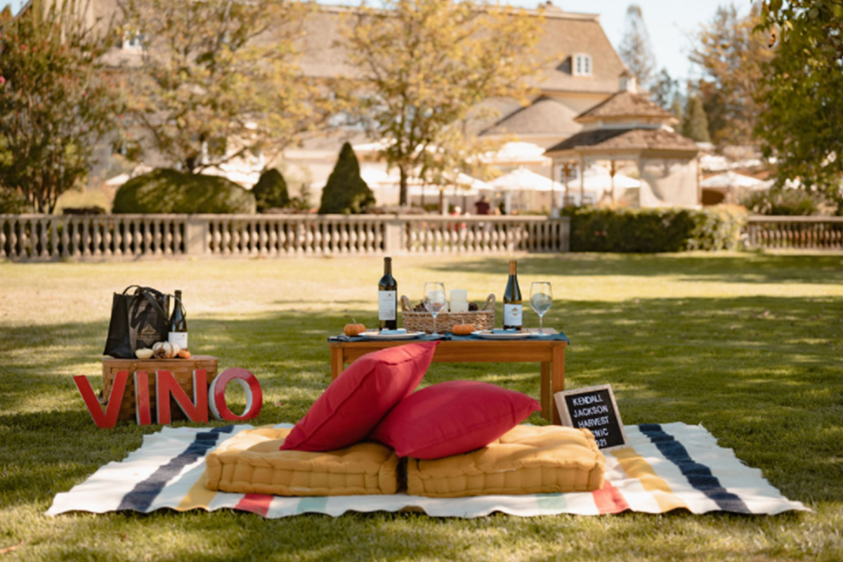 Picnic on a Lawn with wine and cushions