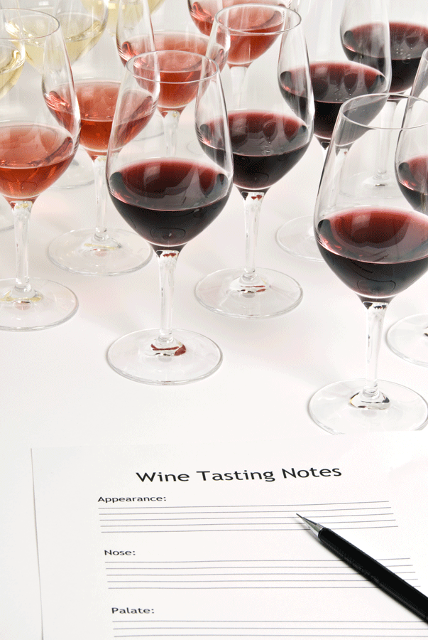 The exercise of writing notes, including memorable wine tasting notes, is more than putting pen to paper or thumbs to screens. Master of Wine Christy Canterbury shares everything you need to about how to write wine tasting notes.