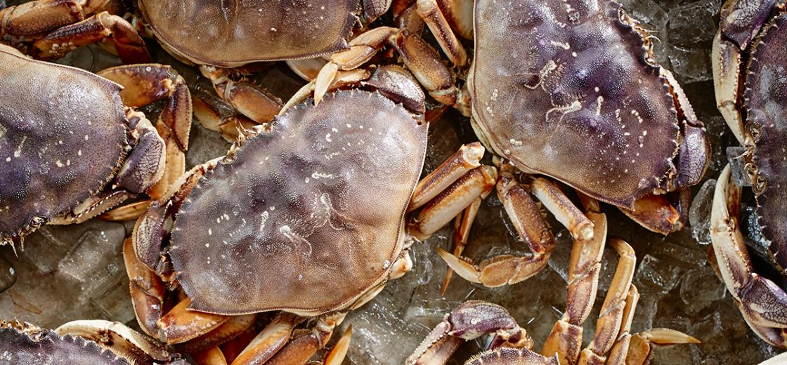 How to Cook Crab
