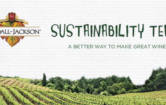 KJ_sustainability_banner