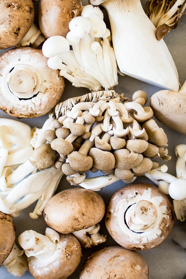 variety of raw wild mushrooms 